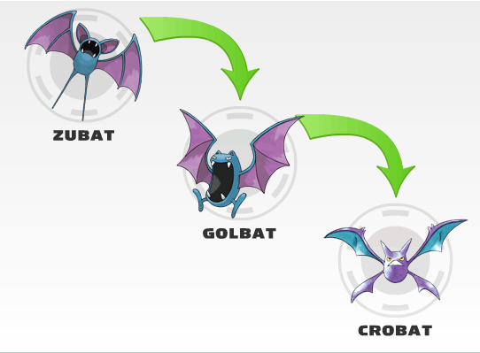 Pokemon Golbat Evolution Chart