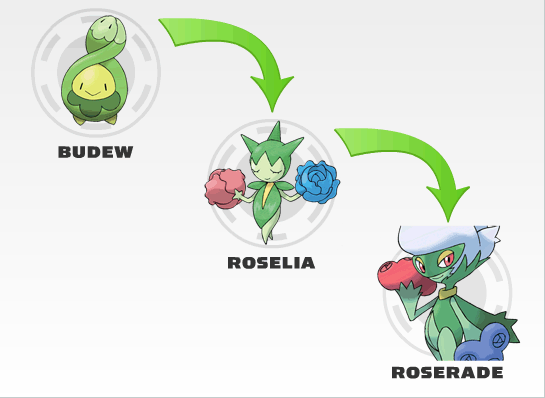 Pokemon Roselia Evolution Chart