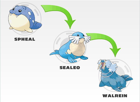Pokemon Sealeo Evolution Chart